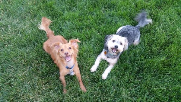 /Images/uploads/Humane Society of Utah/HSUCalendar/entries/1022thumb.jpg